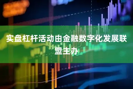 实盘杠杆活动由金融数字化发展联盟主办